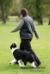 obedience