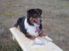 Cali 3 years old