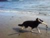 at the beach with Pella
