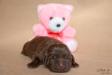 2 days old