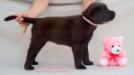 6 weeks old