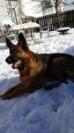 enjoying the snow