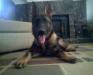 Ruger growing up pictures