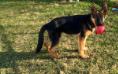 Rocky 