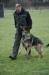 Ultimo actually obedience