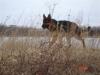 Loki 20090307