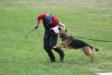 Training at TOP WDC