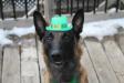 St. Patrick day 2018