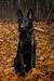 Magic at 4 months old
