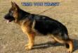 TIMO VON WASSY