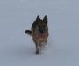 Inca`s gallery
