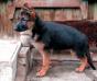 The little Zhara in the new house.