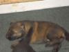 2 wks grow so fast