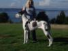 Stef  11 months old at Puget Sound, WA