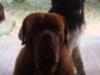 Dozier waits for his dog cookie
