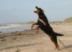 Playing at the beach