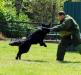Training TZ Kreuzgrund