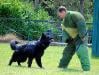 Training TZ Kreuzgrund
