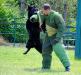 Training TZ Kreuzgrund