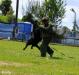 Training TZ Kreuzgrund