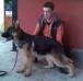 Jagodina's finest