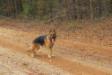 Samson Nov. 2012