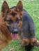 Thor, 30.01.2012