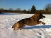 Spass im Schnee ;-)