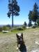 hike