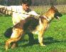 Jade v Arlett Picture