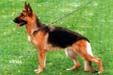 Keika von der Noriswand Picture