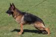 Debby von Dacon Picture