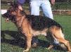 Olav Contiomagus Picture