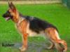 Xira von Streek Picture