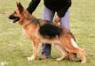 Nelly von Lentulo Picture