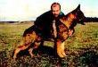 Apoll vom Wolfswappen Picture