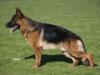 Rafaye Hakan Picture
