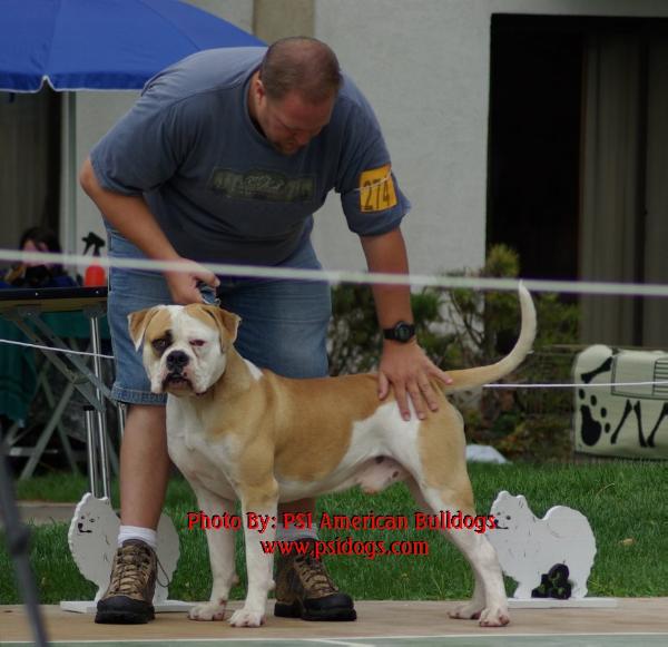 OMB's Hammer of Brick's