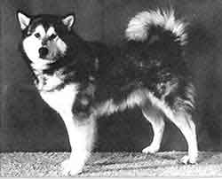 Inuit's Luavik Of Zagoskin