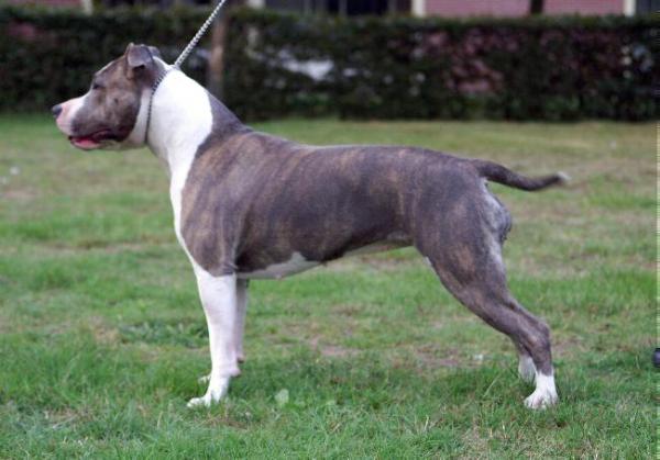 Strictly Woman From Gillians Home