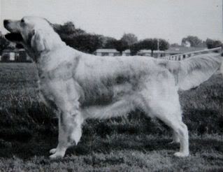 Styal Symetrya