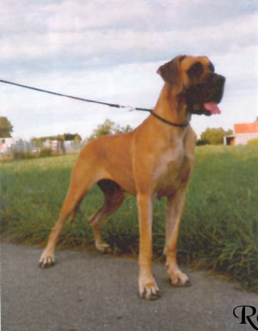 Marlene Des Petites Vernieres