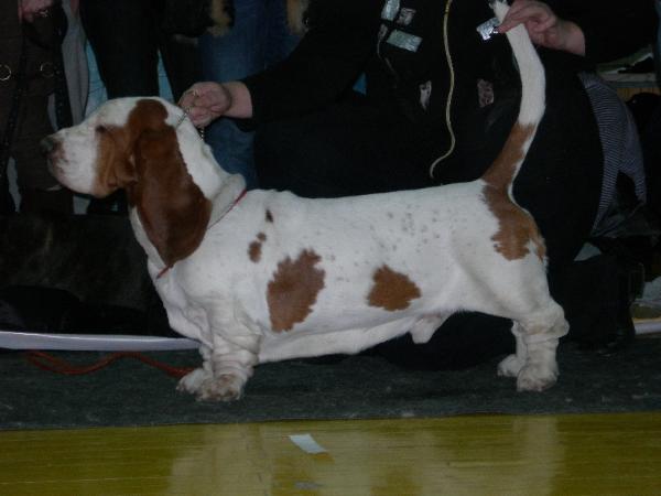 Valentino Turguesa playa