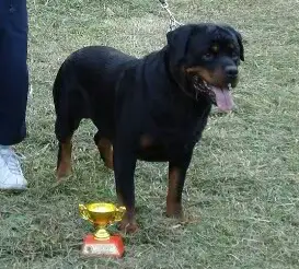 PHIL. CHAMP Varus von der Scherau