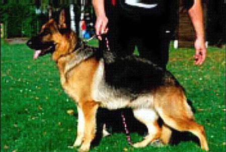 V Vicki von der Urbecke