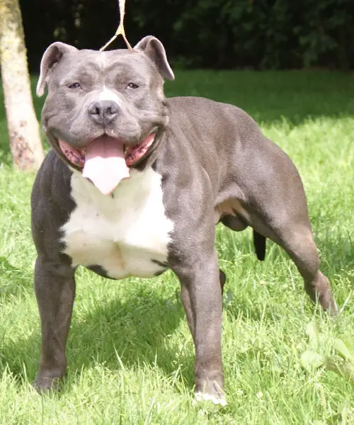 Pacific blue sky B-atos