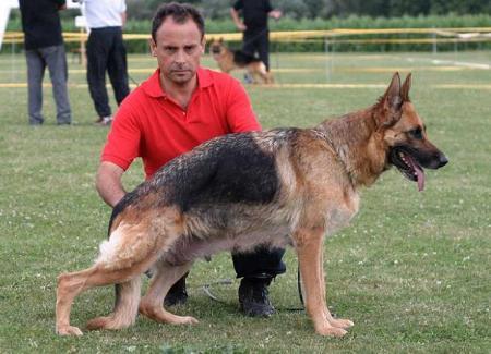 V Fina vom Westernholz