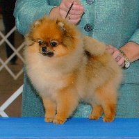 Dreamweavers Color Of The Spirit