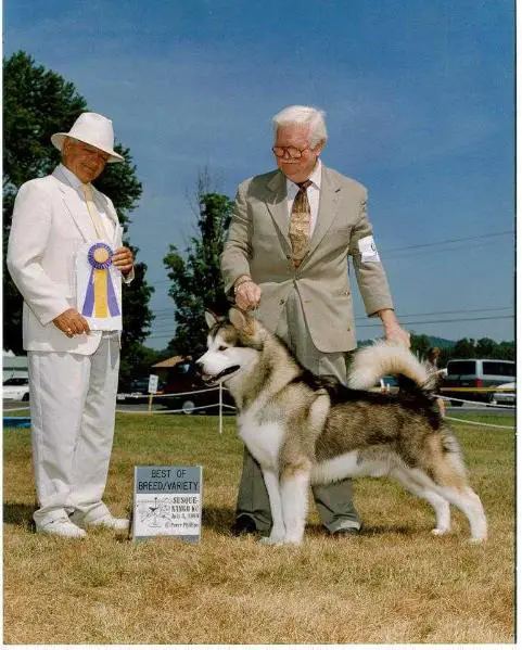 CH Owyhee's Dressed to Kill