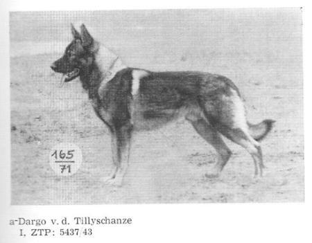 Dargo von der Tillyschanze